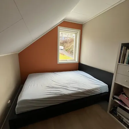 - Home, Close To Airport And The * 卑爾根